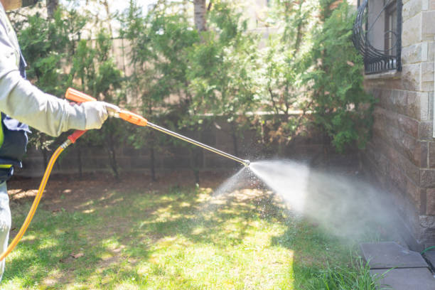 Best Mosquito Control  in Braidwood, IL